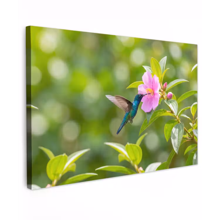 Canvas schilderij - Kolibrie - Bloem - Natuur - Groen — 1