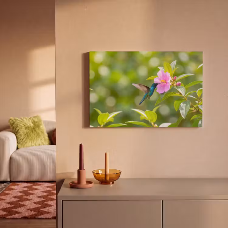 Canvas schilderij - Kolibrie - Bloem - Natuur - Groen — 2