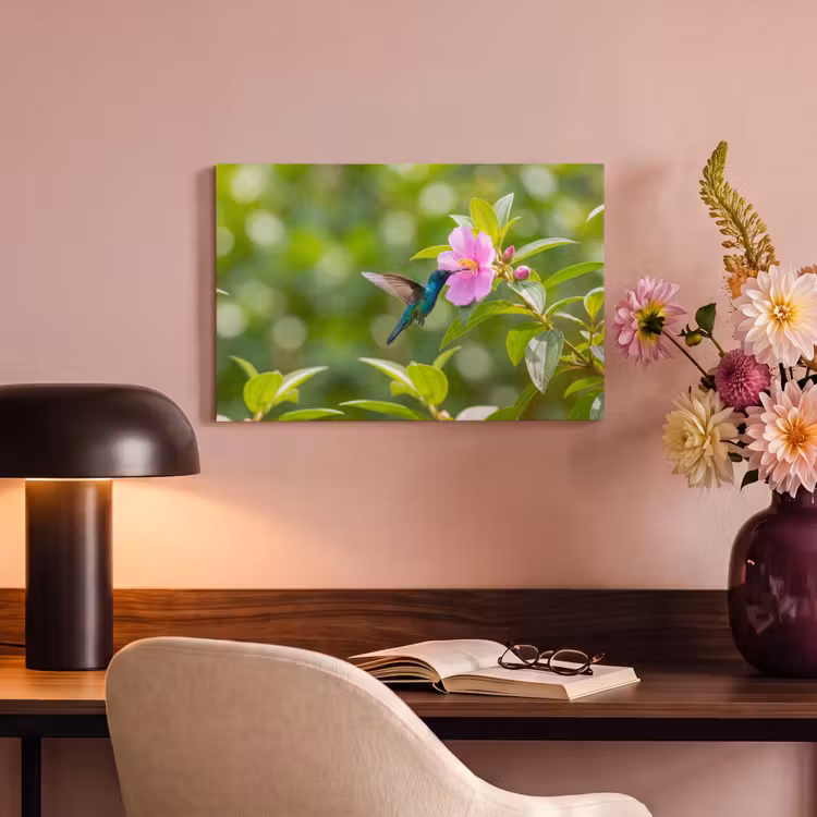 Canvas schilderij - Kolibrie - Bloem - Natuur - Groen — 4