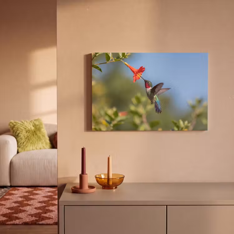 Canvas schilderij - Kolibrie - Bloem - Natuur - Groen — 2