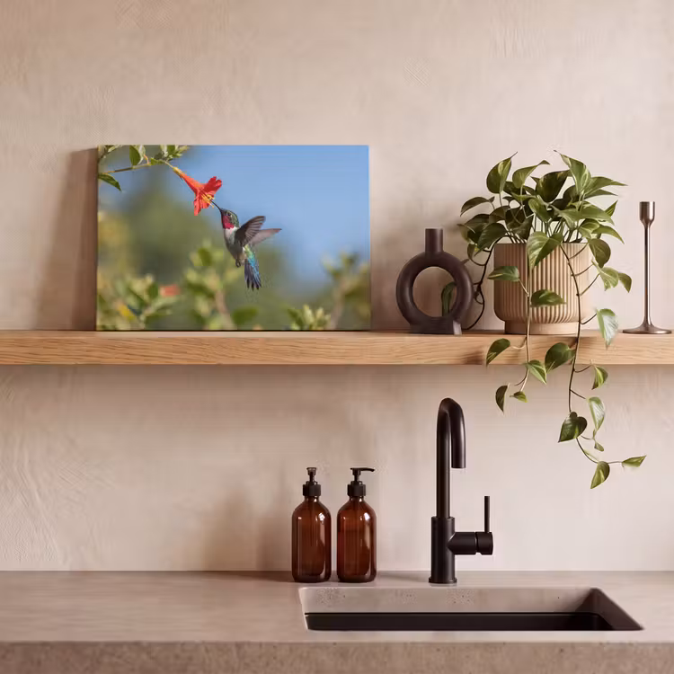Canvas schilderij - Kolibrie - Bloem - Natuur - Groen — 3
