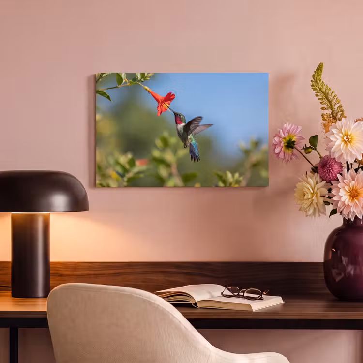 Canvas schilderij - Kolibrie - Bloem - Natuur - Groen — 4