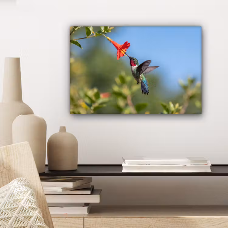 Canvas schilderij - Kolibrie - Bloem - Natuur - Groen — 5