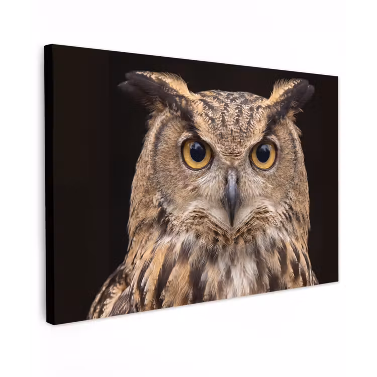 Canvas schilderij - Oehoe - Uil - Portret - Bruin — 1