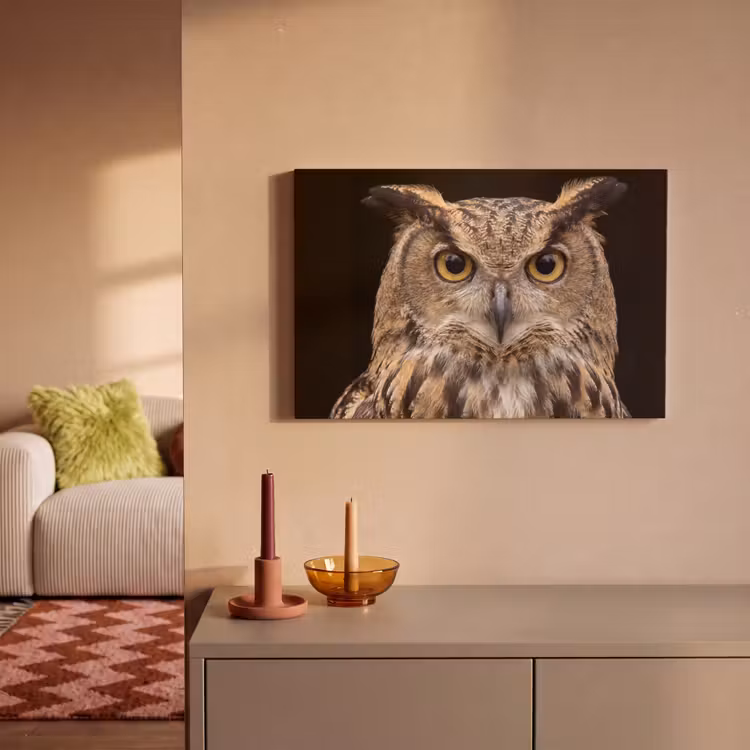 Canvas schilderij - Oehoe - Uil - Portret - Bruin — 2