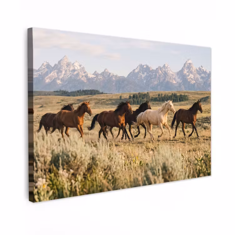 Canvas schilderij - Paarden - Kudde - Bergen - Vrijheid - Wild — 1