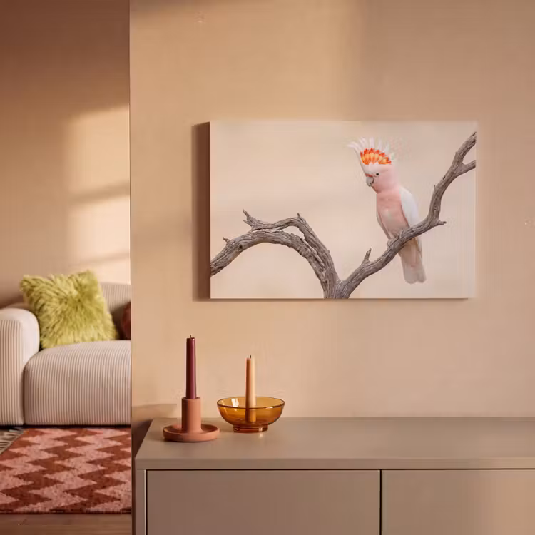 Canvas schilderij - Papagaai - Tak - Roze — 2