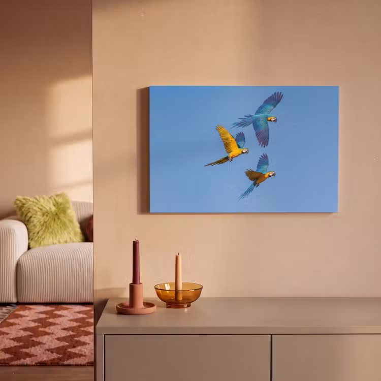 Canvas schilderij - Papagaai - Vliegen - Blauw - Geel — 2