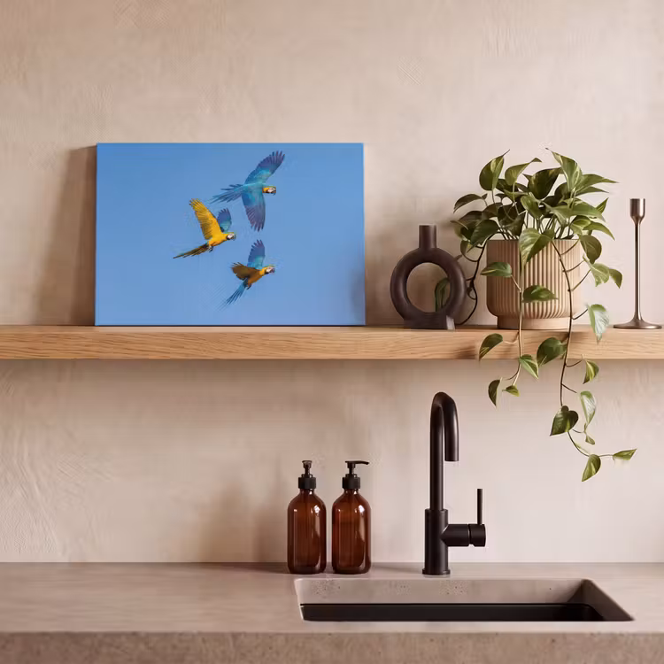 Canvas schilderij - Papagaai - Vliegen - Blauw - Geel — 3