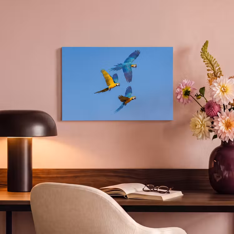 Canvas schilderij - Papagaai - Vliegen - Blauw - Geel — 4