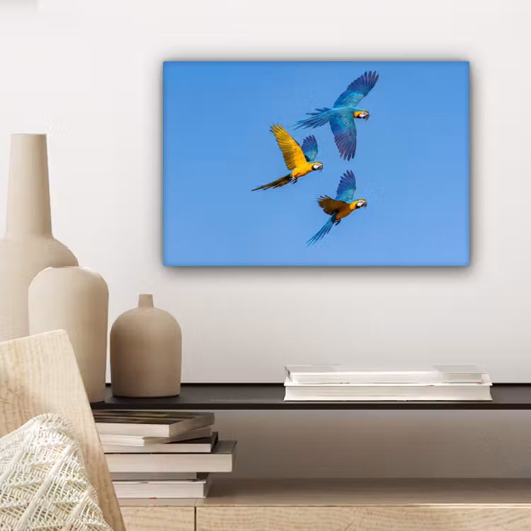 Canvas schilderij - Papagaai - Vliegen - Blauw - Geel — 5