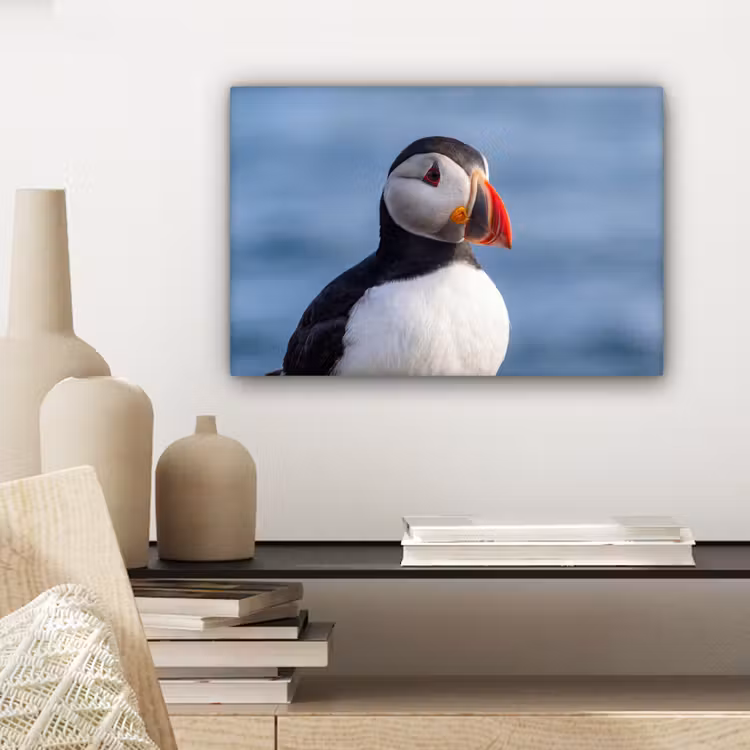 Canvas schilderij - Papegaaiduiker - Portret - Natuur — 5