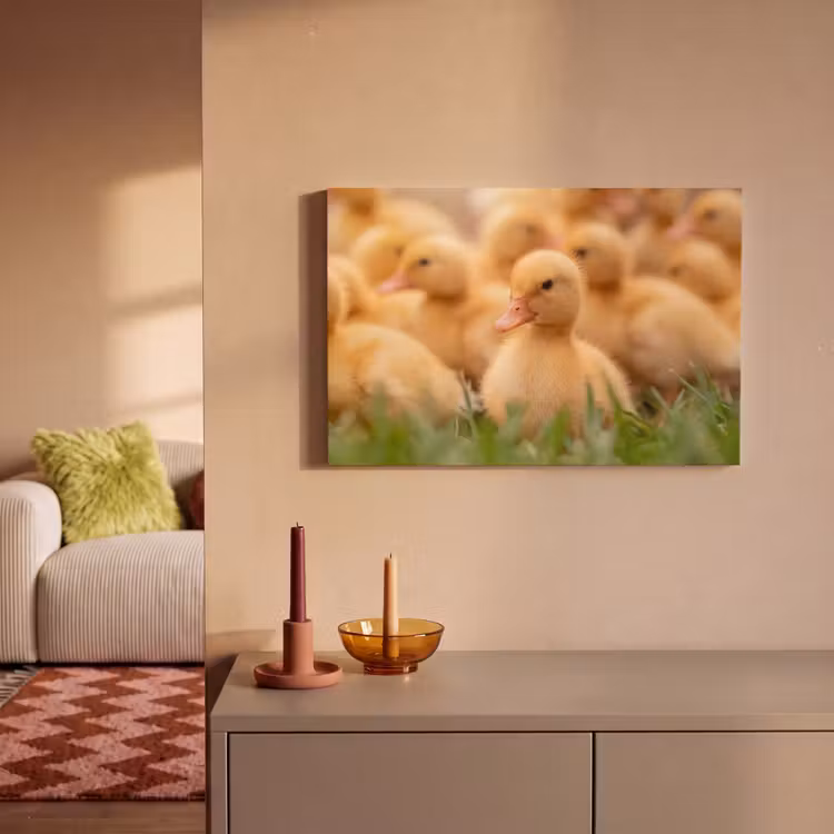 Canvas schilderij - Pijltje - Eend - Natuur - Geel — 2