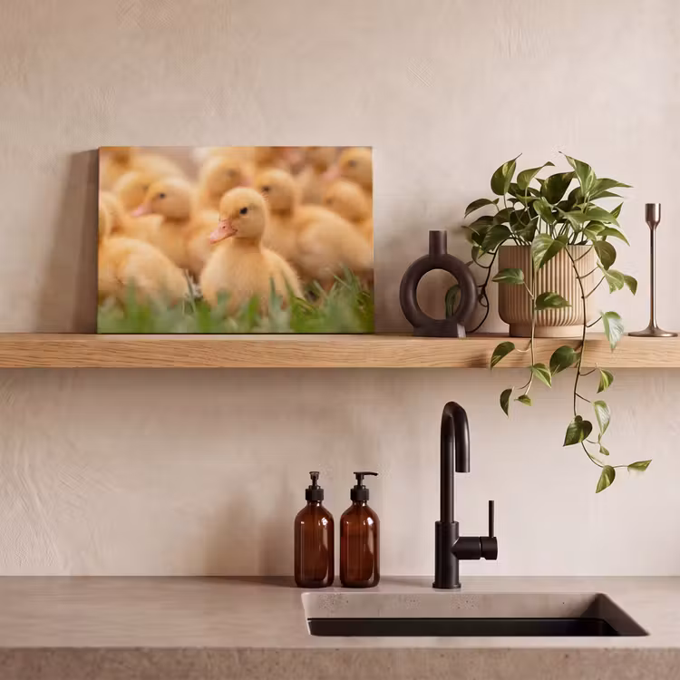 Canvas schilderij - Pijltje - Eend - Natuur - Geel — 3