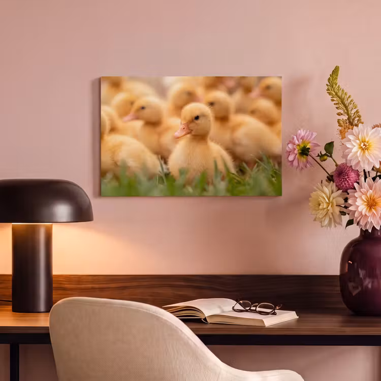 Canvas schilderij - Pijltje - Eend - Natuur - Geel — 4