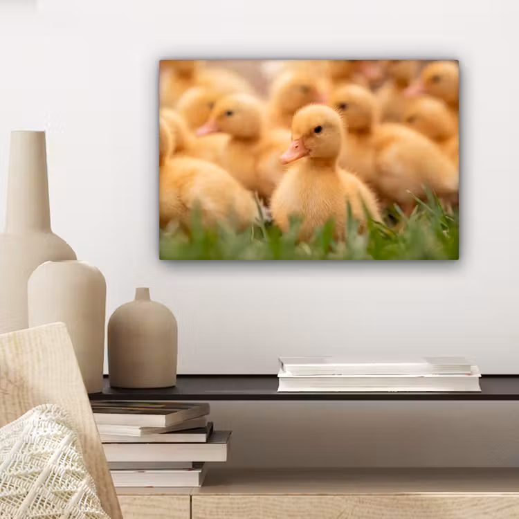 Canvas schilderij - Pijltje - Eend - Natuur - Geel — 5