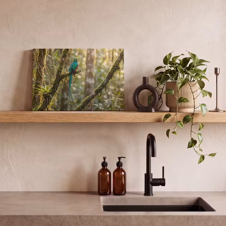 Canvas schilderij - Quetzal - Jungle - Natuur - Groen — 3