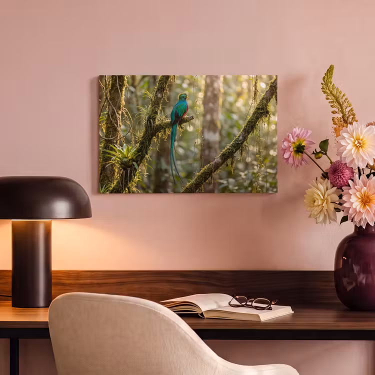 Canvas schilderij - Quetzal - Jungle - Natuur - Groen — 4