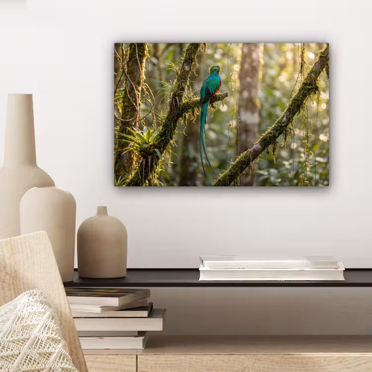 Canvas schilderij - Quetzal - Jungle - Natuur - Groen — 5