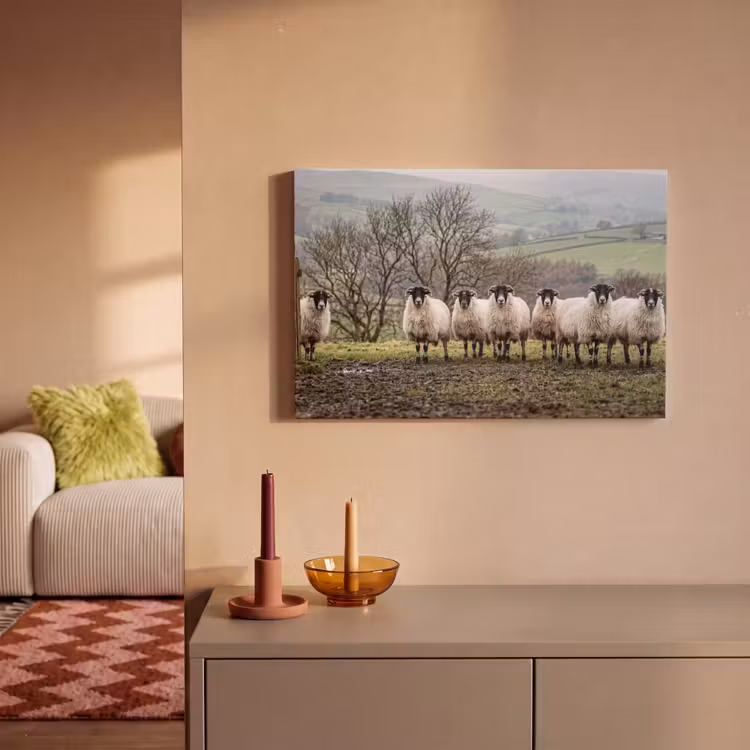 Canvas schilderij - Schapen - Rij - Weide - Dieren - Platteland — 2