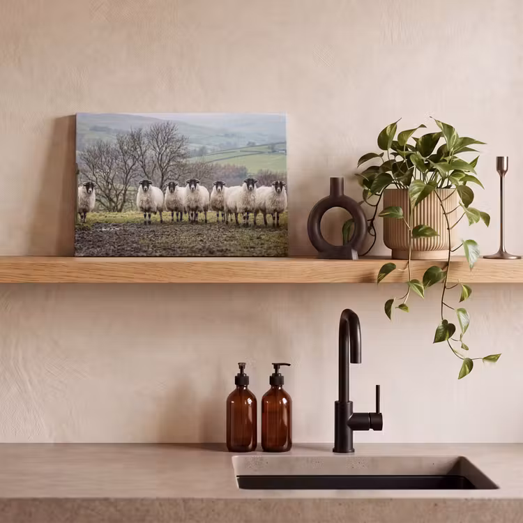 Canvas schilderij - Schapen - Rij - Weide - Dieren - Platteland — 3