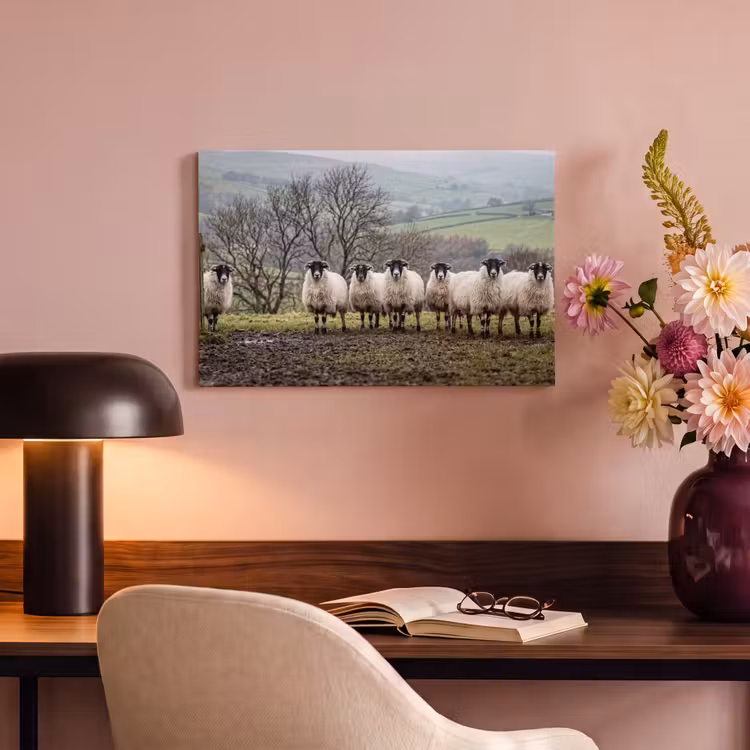 Canvas schilderij - Schapen - Rij - Weide - Dieren - Platteland — 4