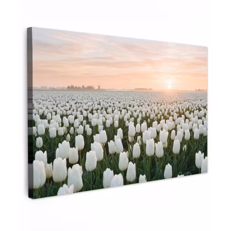 Canvas schilderij - Tulpen - Landschap - Wit — 1