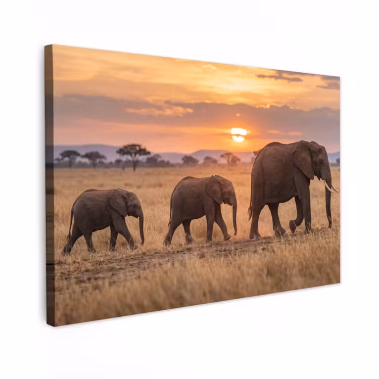 Canvas schilderij - Olifanten - Savanne - Zonsondergang - Afrika - Warm — 1