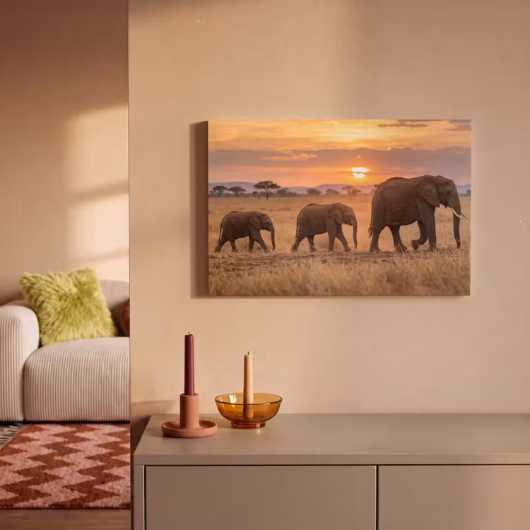 Canvas schilderij - Olifanten - Savanne - Zonsondergang - Afrika - Warm — 2