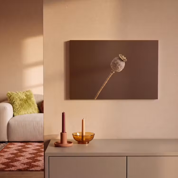 Canvas schilderij - Papaverbol - Droogbloem - Bruin - Minimalistisch — 2