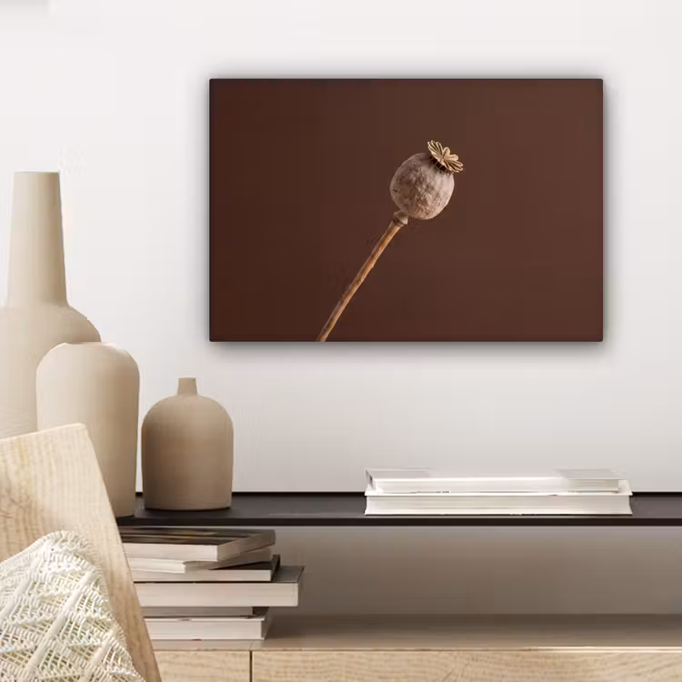 Canvas schilderij - Papaverbol - Droogbloem - Bruin - Minimalistisch — 5