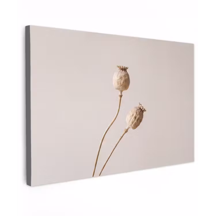 Canvas schilderij - Papaverbollen - Droogbloemen - Minimalistisch - Beige - Rustig — 1