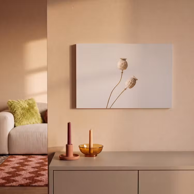 Canvas schilderij - Papaverbollen - Droogbloemen - Minimalistisch - Beige - Rustig — 2