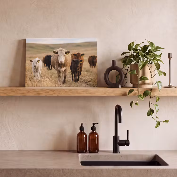Canvas schilderij - Runderen - Kudde - Landschap - Weide - Rustig — 3