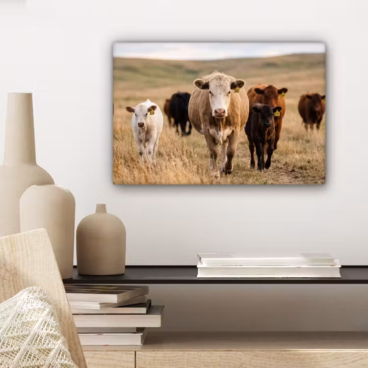 Canvas schilderij - Runderen - Kudde - Landschap - Weide - Rustig — 5