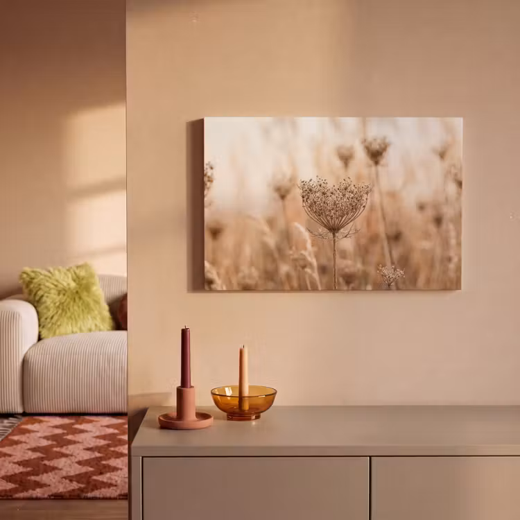 Canvas schilderij - Schermbloem - Droogbloem - Winter - Beige - Minimalistisch — 2