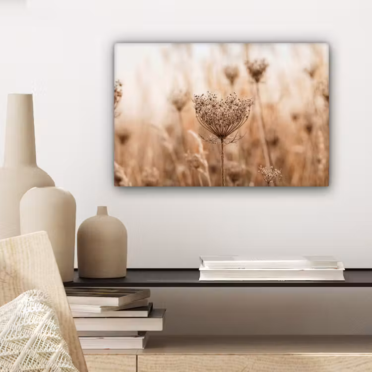 Canvas schilderij - Schermbloem - Droogbloem - Winter - Beige - Minimalistisch — 5
