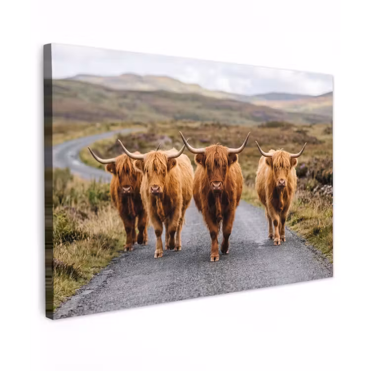 Canvas schilderij - Schotse Hooglanders - Weg - Landschap - Kudde — 1