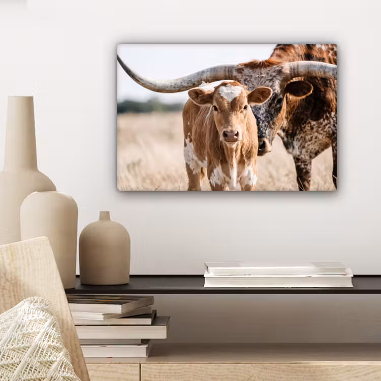 Canvas schilderij - Texas Longhorn - Kalf - Weide - Dieren — 5
