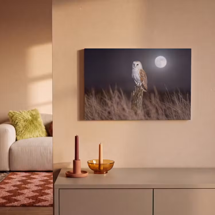 Canvas schilderij - Kerkuil - Maan - Nacht — 2