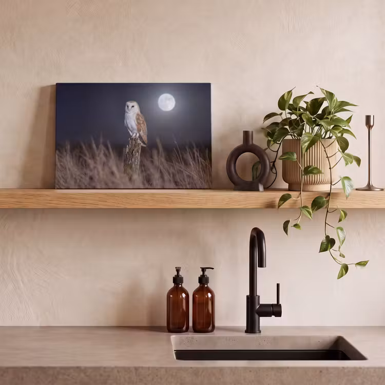 Canvas schilderij - Kerkuil - Maan - Nacht — 3