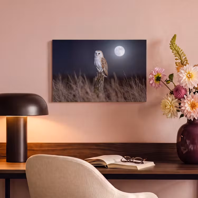 Canvas schilderij - Kerkuil - Maan - Nacht — 4