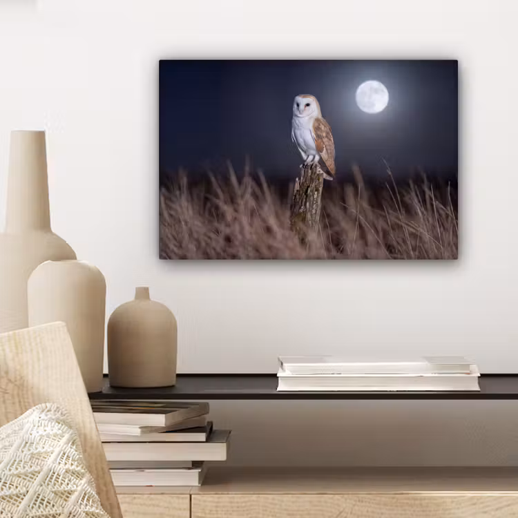 Canvas schilderij - Kerkuil - Maan - Nacht — 5