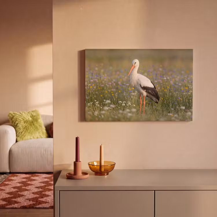 Canvas schilderij - Ooienvaar - Bloemen - Weide - Kleurrijk — 2