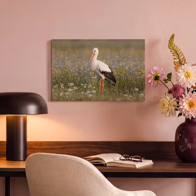 Canvas schilderij - Ooienvaar - Bloemen - Weide - Kleurrijk — 4