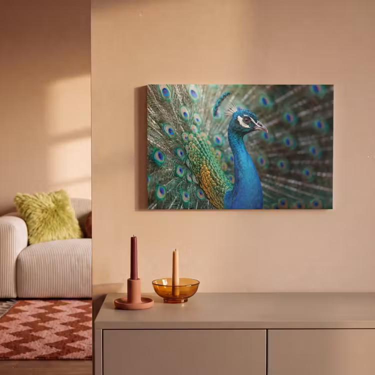 Canvas schilderij - Pauw - Veren - Blauw — 2