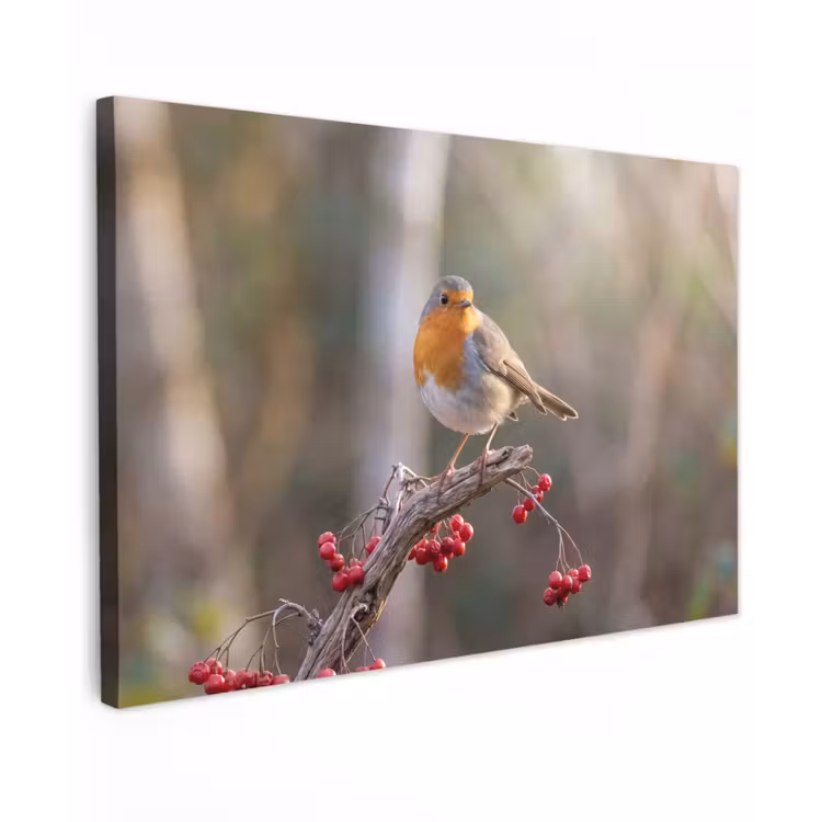 Canvas schilderij - Roodborst - Tak - Bessen - Natuur — 1