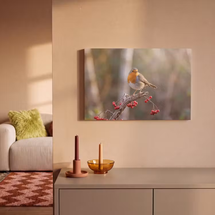 Canvas schilderij - Roodborst - Tak - Bessen - Natuur — 2