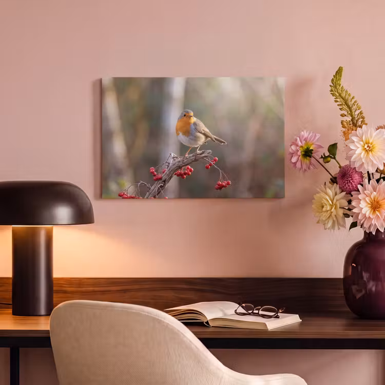 Canvas schilderij - Roodborst - Tak - Bessen - Natuur — 4