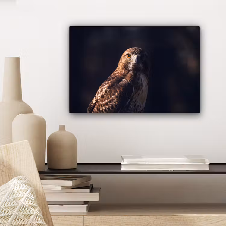 Canvas schilderij - Roofvogel - Buizerd - Bruin — 5